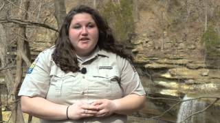 Layers in Time at Clifty Falls State Park | Indiana DNR