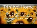 Trinity@Home: Twelfth Sunday After Pentecost - August 20, 2023