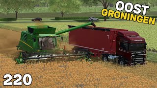 Sorghum & Tarwe Oogsten, Bemesten & Koeien verhuizen | Oost-Groningen #220 | FS22