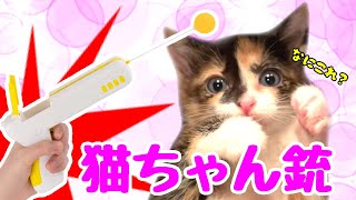 【保護猫】おもちゃレビュー！「猫じゃらし銃」ってなに？