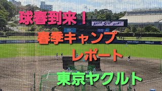 【キャンプ見学】球春到来！プロ野球春季キャンプの楽しみ方〜東京ヤクルトスワローズ