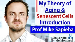 My Theory of Aging \u0026 Senescent Cells Introduction | Prof Mike Sapieha Interview Series Episode 1