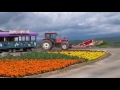 flowerland kamifurano hokkaido