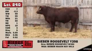 LOT 240 - BIEBER ROOSEVELT Y398