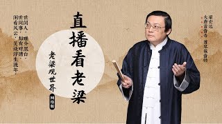 网络版《老梁观世界》什么大学专业最吃香 城市房价高怎么办 | 直播看老梁