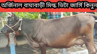 (১৬০)দুই দাঁতের ১ম বিয়ানের ৯ মাসের পেগনেট অর্জিনাল বাঘাবাড়ি মিল্কভিটা জার্সি কিনুন(০১৭৬৫-৬০৯৭৫৮ ইমো)