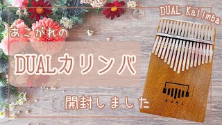 【カリンバ開封】DUALカリンバ（サペリウッド）開封して音も鳴らしてみた　（DUAL Kalimba Sapele Wood）Kalimba opening video