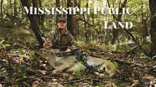 Mississippi Public Land Deer Hunting - BUCKS EVERYWHERE