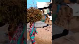 Vibrating brooms at tribal village#shot#shortvideo