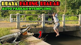 Prank Buaya Paling Biadab || Super Extreme Bikin Ngakak 🤣🤣 || Funny Crocodile Prank