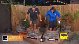 Want to try grape stomping?