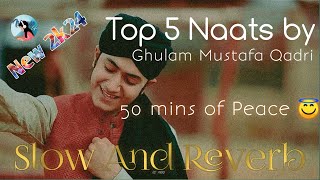 Top 5  Naat shareef | Ghulam Mustafa Qadri | Slow and Reverb | Islamic Lofi #ghulammustafaqadri