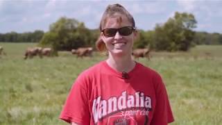 Pasture Project Farmer Profile: Ashley Osborne, Rocky Road Brown Swiss Dairy