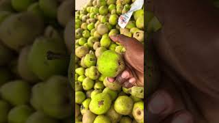 kerala Pear fruits | taste better |#pearfruit#kerala fruit #shorts