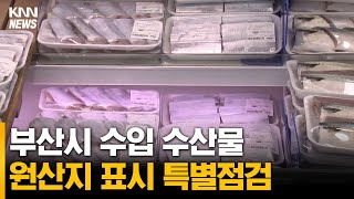 부산시 수입수산물 원산지 표시 특별점검