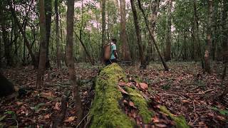 Xingu, histórias dos produtos da floresta | Trailer