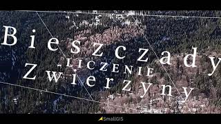 Bieszczady z lotu ptaka - Liczenie zwierzyny