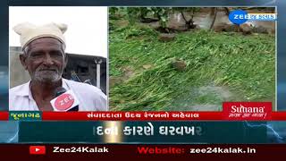 જૂનાગઢ જિલ્લામાં ધોધમાર વરસાદ | Heavy rains in Junagadh | Gujarat Monsoon 2023 | ZEE 24 Kalak