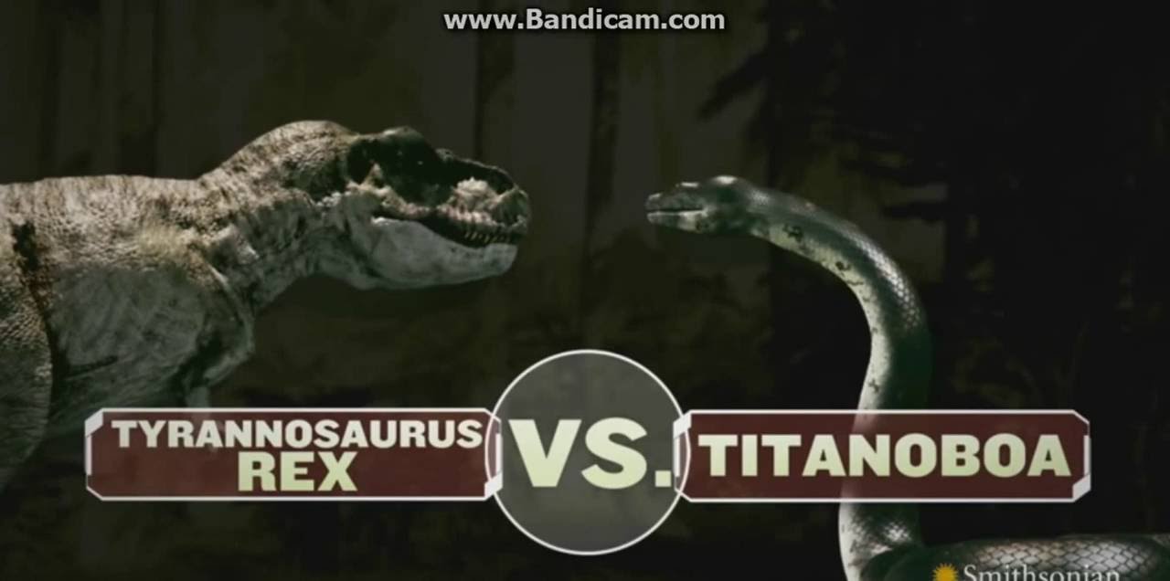 T Rex Vs Titanoboa Youtube T Rex Vs Titanoboa Youtube