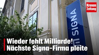 Wieder fehlt Milliarde! Nächste Signa-Firma pleite | krone.tv NEWS