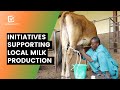 Burkina Faso: Initiatives supporting local milk production