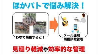 わな見廻り軽減！　LPWA通信「ほかパト」