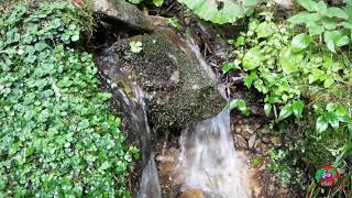 恐山冷水　青森県むつ市