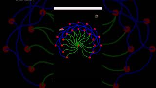 Draw artistic Flower 🌹🌸 using python turtle animation #python #roseday #rose