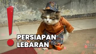 Cat Lovers Merapat! Fredi Lugina Punya Koleksi Baju Buat Hewan Kesayanganmu