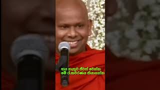 භය නැතුව ජීවත් වෙන්න මේ රැකවරණය තියාගන්න | වැලිමඩ සද්ධාසීල හිමි