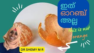 ഏതാണ് ORANGE, TANGERINE, MUSAMBI? ഇവയുടെ വ്യത്യാസം എന്ത്?|| Dr Shemy M R