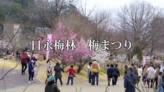 四日市AR動画　日永梅林梅まつり（201803）