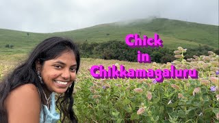 Hunt for Neelakurinji Flowers | Jhari Falls Chikmagalur | Trippr Chikkamagaluru | Hasan Masala Soda