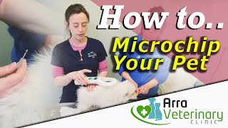 Microchip Your Pet - How to Microchip a Cat or Dog - Fear Free