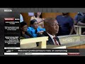 Malema Firearm Case | Sandile Swana on EFF leader's political future