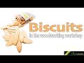 Biscuits in the Woodworking Workshop