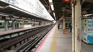 10月1日横浜駅 3027M 踊り子7号 E257系2000番台 宮オオNA-08編成 入線