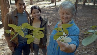 Choose a Living Memorial Tree | Northern California