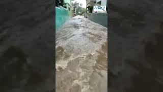 ସମ୍ବଲପୁର ସହରରେ ପଶିଲା ପାଣି | #dharitrilive #shorts #sambalpur #rain