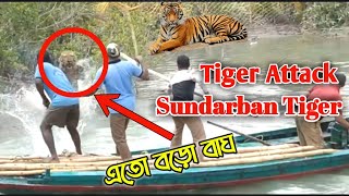 Sundarban Tiger Attack | Tiger Attack In Sundarban Jharkhali @TV9BanglaLive