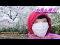 雪桜【大雪中盛開的櫻花】2020年3月29日，日本關東地區下雪了。平常年份，連冬天都極少下雪的東京，今晨下起了大雪。氣溫從二十度左右，驟降到零度！2020年，本該是東京奧運會的年，此日夜，志村健離世！