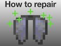 (How to repair an elytra) in Minecraft