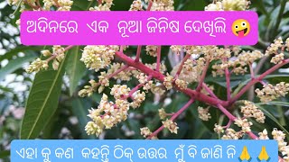 ଏହା କଣ ଓ କାହିଁକି ଉତ୍ତର ମୁଁ ବି ଜାଣି ନି 🙏🙏🙏#