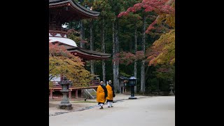 Koyasan: A Spiritual Retreat Amidst Sacred Temples and Forests