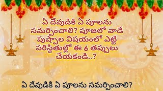 ఏ దేవుడికి ఏ పూలను సమర్పించాలి? పూజలో వాడే పుష్పాల విషయంలో ఎట్టి పరిస్థితుల్లో ఈ 6 తప్పులు చేయకండి.