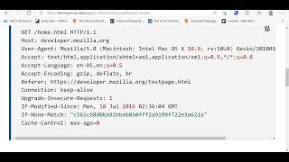 How to get Headers from the Request in ExpressJS