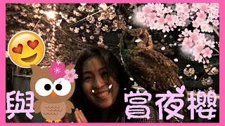 【東京櫻花 VLOG】江戶船賞夜櫻 Part 1!! 與貓頭鷹一起看夜櫻!! 六本木食lunch發生小火警!!