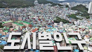 [사회통계] 도시별 인구통계 | 도시소멸 | 지식학당