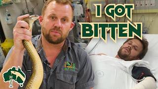 Bitten By Deadly King Brown Snake | Venom Diaries