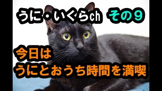 うにいくらch 　その９　久々に「うに」と午後をゆっくり楽しみました^^